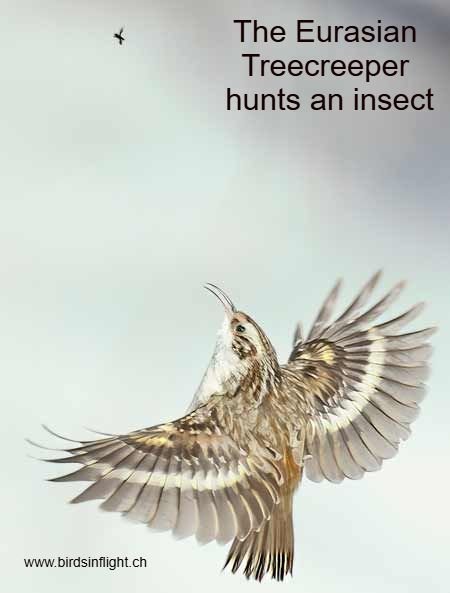 Interactive parallax photo